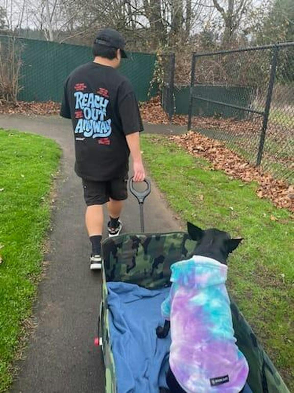 Customer walking a dog wearing the Reach Out Anyway oversized tee, back print visible